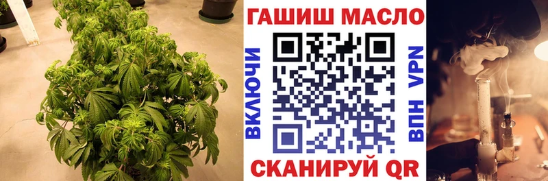 Дистиллят ТГК гашишное масло  Хилок 